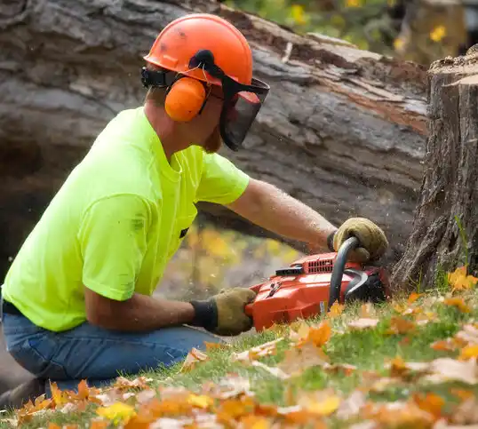 tree services Cavalier